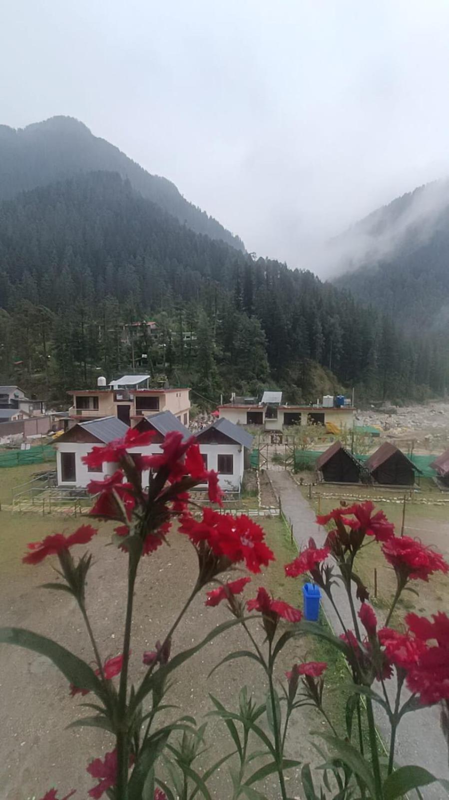 Himtrek Stay Kasol Exterior photo