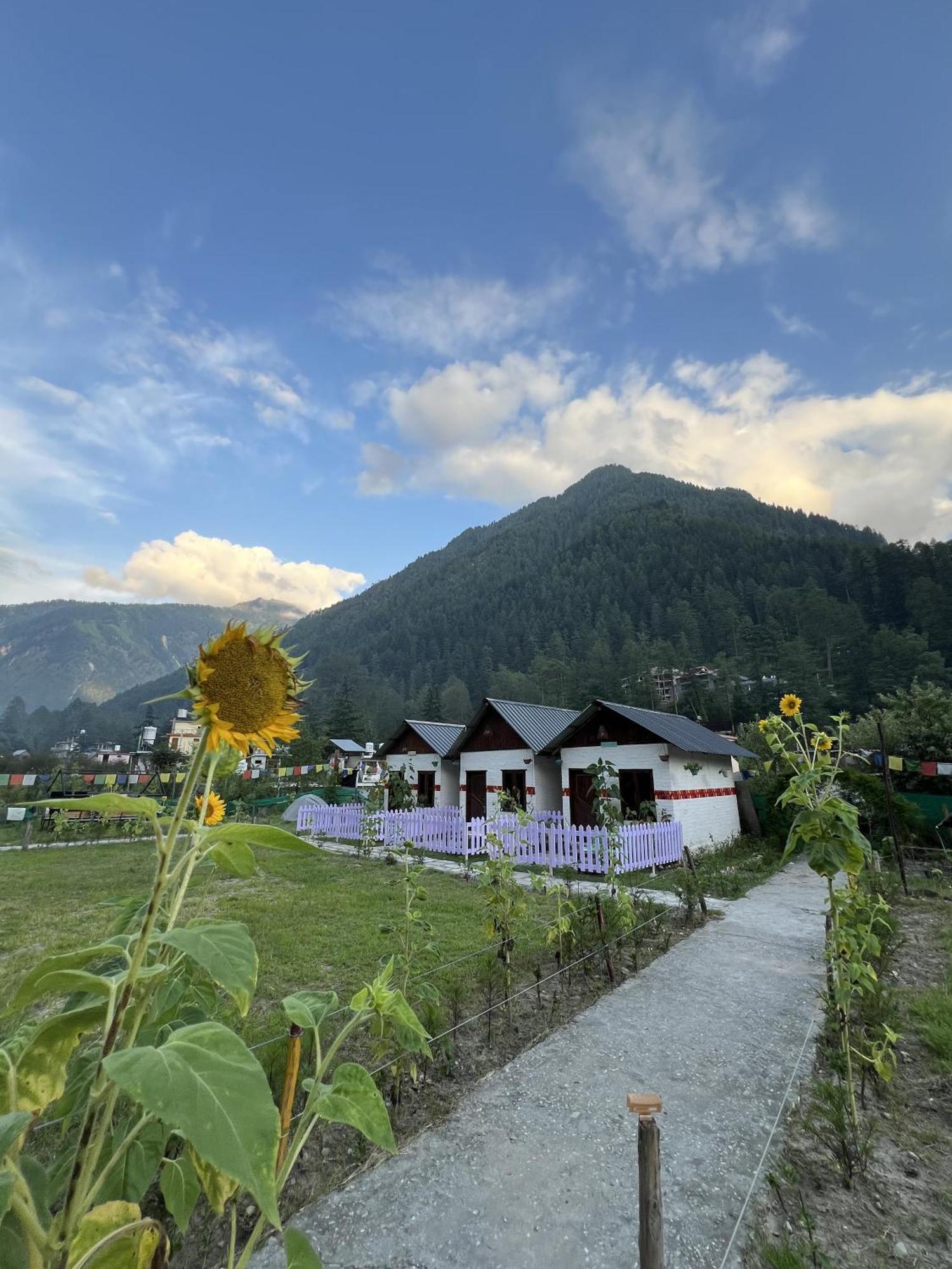 Himtrek Stay Kasol Exterior photo